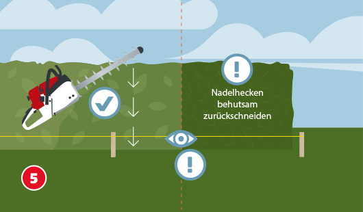 Eine schematische Darstellung zeigt den Rückschnitt einer Hecke mit einer motorisierten Heckenschere entlang einer gespannten Schnur. Ein Häkchensymbol markiert die saubere, gleichmäßige Führung der Schere. Symbole mit Ausrufezeichen und Auge verweisen auf vorsichtiges Arbeiten, besonders bei Nadelhecken. Unten links ist ein roter Kreis mit einer weißen 5