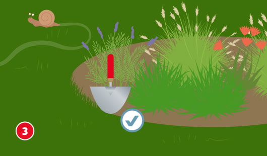 Eine schematische Darstellung zeigt ein Beet mit verschiedenen Gräsern und blühenden Stauden. Am Rand des Beets wird mit einem kleinen Spaten die Rasenkante sauber abgestochen. Ein Häkchen-Symbol bestätigt die richtige Ausführung. Im oberen linken Bildbereich kriecht eine Schnecke über den Rasen. Unten links ist ein roter Kreis mit einer weißen 3