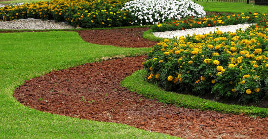 Eine gepflegte Gartenanlage zeigt geschwungene Rasenflächen, die von Beeten mit Mulch, weißen Kieselsteinen und farbenprächtigen Blumen in Gelb, Orange und Weiß eingefasst sind. Die Rasenkanten sind sauber geschnitten und betonen die geschwungene Gestaltung