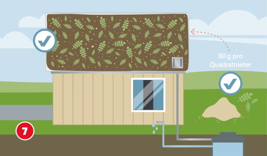 Eine schematische Darstellung zeigt ein begrüntes Gartenhausdach mit gleichmäßig ausgestreuten Sedumsprossen. Auf der rechten Seite befindet sich ein Haufen mit Saatgut und der Hinweis „80 g pro Quadratmeter“. Zwei Häkchen-Symbole markieren die korrekt ausgeführte Aussaat. Unten links ist ein roter Kreis mit einer weißen 7