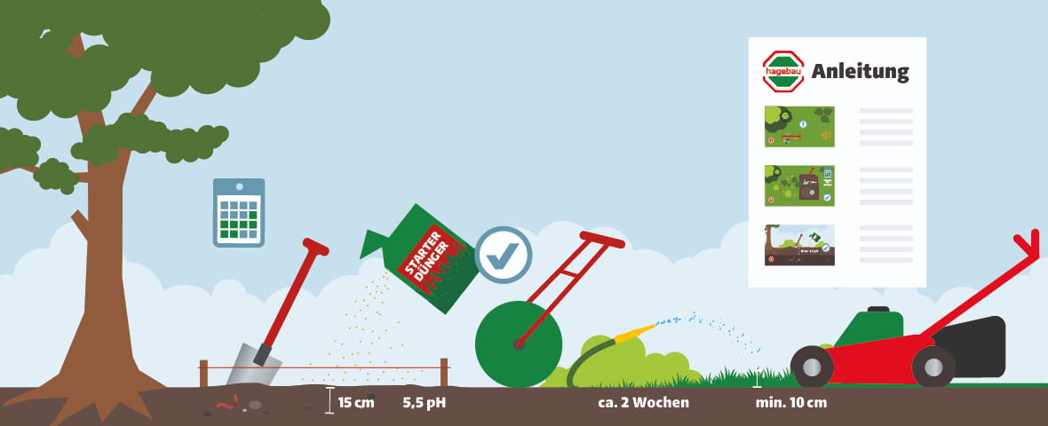 Eine schematische Darstellung zeigt die Vorbereitung zur Rasenneuanlage unter einem großen Baum. Der Boden wird 15 cm tief umgegraben, der pH-Wert sollte bei 5,5 liegen. Starterdünger wird aufgebracht, ein Häkchen-Symbol bestätigt den richtigen Vorgang. Mit einer Rasenwalze wird der Boden gefestigt, anschließend erfolgt regelmäßiges Wässern. Ein Kalender, ein Rasenmäher sowie eine Anleitung mit drei Schritten sind ebenfalls dargestellt. Am unteren Rand sind die wichtigsten Kennwerte als Text eingeblendet
