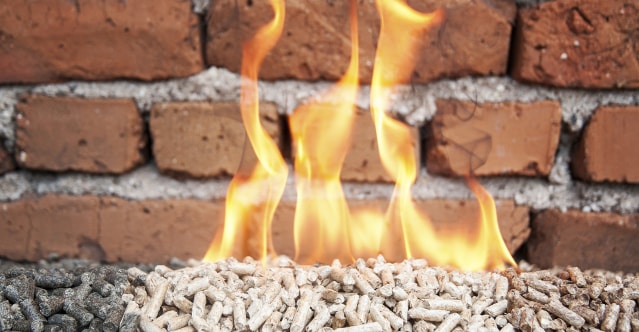 Brennende Holzpellets vor einer roten Backsteinwand. In der Mitte helle Pellets, links dunklere Presslinge. Darüber lodern gelb-orange Flammen
