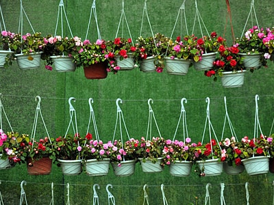 Mehrere Reihen von bunt bepflanzten Blumenampeln hängen an Haken vor einem grünen Hintergrund