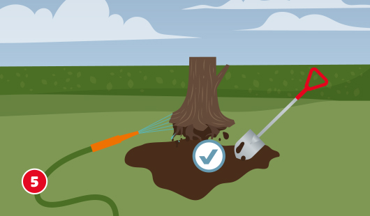 Eine schematische Darstellung zeigt einen Baumstumpf, dessen umgebendes Erdreich mit Wasser befeuchtet wird. Ein Gartenschlauch und ein Spaten kommen zum Einsatz, um schweren Boden zu lockern und das Freihebeln zu erleichtern. Ein Häkchensymbol markiert das richtige Vorgehen. Unten links ist ein roter Kreis mit einer weißen 5