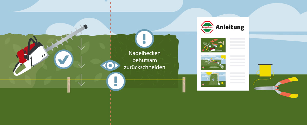 Eine schematische Darstellung zeigt das Zurückschneiden einer Hecke mit einer Heckenschere entlang einer gespannten Orientierungsschnur. Auf der rechten Seite wird durch Symbole und Text auf einen behutsamen Rückschnitt von Nadelhecken hingewiesen. Eine bebilderte Anleitung und Gartengeräte wie Schnurrolle und Schere liegen bereit