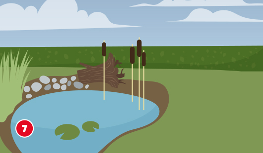 Eine schematische Darstellung zeigt einen Baumstumpf, der dekorativ an einem Gartenteich platziert wurde. Umgeben von Schilf, Steinen und Wasserpflanzen wird der Stumpf gestalterisch weiterverwendet. Unten links ist ein roter Kreis mit einer weißen 7