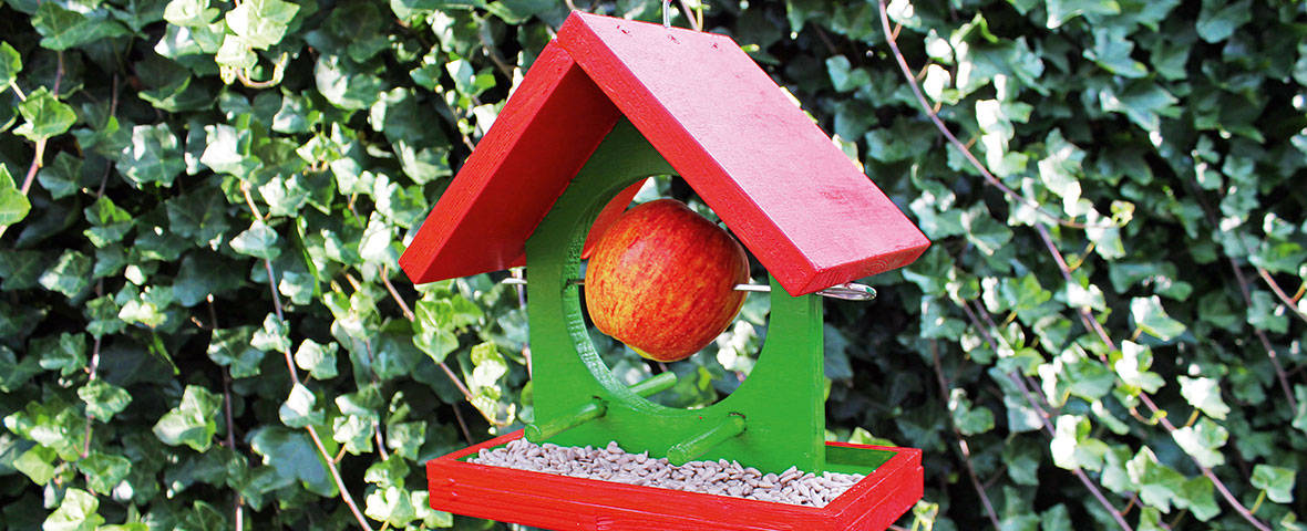 Eine farbenfrohe Vogel-Futterstelle steht vor einer dichten Efeuhecke. Das Vogelhaus besteht aus rot gestrichenem Dach und Bodenplatte sowie einem grünen Mittelteil mit rundem Ausschnitt. In der Mitte ist ein roter Apfel aufgespießt, unten liegt eine Schicht Sonnenblumenkerne. Das Vogelhaus ist an einem Haken aufgehängt