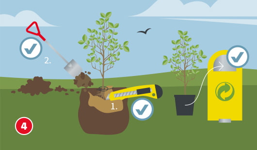 Eine schematische Darstellung zeigt das Vorbereiten eines Baumes zur Pflanzung. Der Wurzelballen wird mit einem Cutter angeritzt, bevor der Baum in die Grube gesetzt und mit Erde aufgefüllt wird. Ein leerer Pflanztopf wird zur Wiederverwertung gegeben. Häkchensymbole markieren die einzelnen Arbeitsschritte. Unten links ist ein roter Kreis mit einer weißen 4