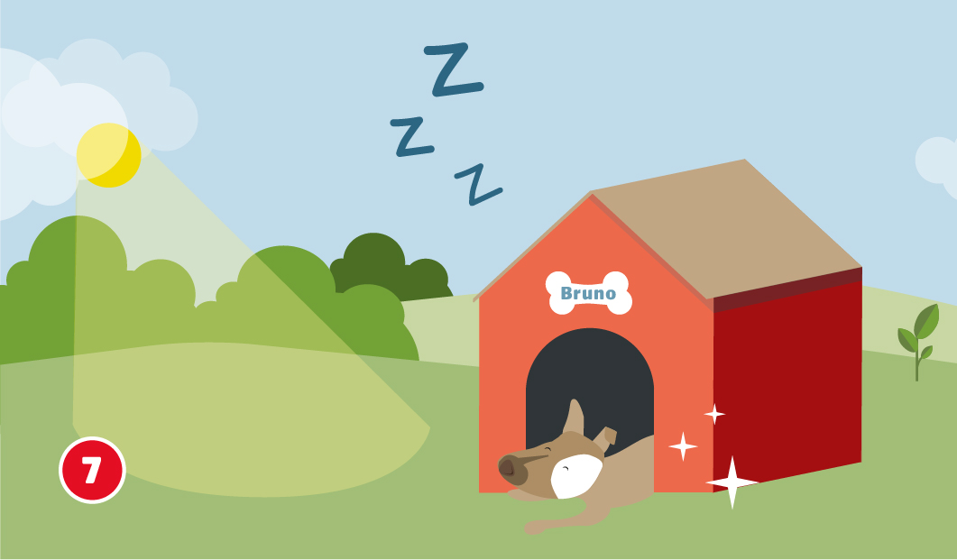 Eine schematische Darstellung zeigt die fertig gebaute und lackierte Hundehütte an ihrem endgültigen Standort. Die Hütte steht in teils sonniger, geschützter Lage auf einer Wiese. Auf dem Eingang ist ein Schild mit dem Namen „Bruno“ angebracht. Der Hund liegt entspannt vor dem Eingang und schläft, darüber schweben Z-Z-Z-Zeichen. Glanzeffekte symbolisieren das saubere Ergebnis. Unten links ist ein roter Kreis mit einer weißen 7