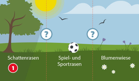 Eine schematische Darstellung zeigt drei unterschiedliche Rasenarten im Vergleich: Schattenrasen unter einem Baum, Spiel- und Sportrasen mit Fußball in der Mitte sowie eine blühende Blumenwiese mit Gänseblümchen und Krokussen rechts. Zwei Fragezeichen markieren die Auswahlmöglichkeiten. Unten links ist ein roter Kreis mit einer weißen 1