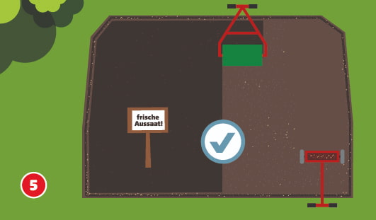 Eine schematische Draufsicht zeigt eine rechteckige Gartenfläche, auf der gerade frischer Rasensamen ausgebracht wird. Links ist ein Schild mit der Aufschrift „frische Aussaat!“ zu sehen. Die Fläche ist halb eingesät, ein Häkchen-Symbol kennzeichnet die korrekte Umsetzung. Eine Rasenwalze und ein Streuwagen befinden sich rechts am Rand. Unten links ist ein roter Kreis mit einer weißen 5