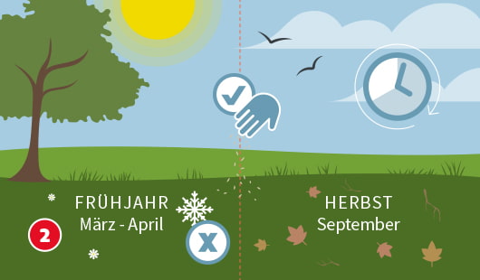 Eine schematische Darstellung zeigt den idealen Zeitpunkt zur Rasenaussaat. Links steht ein Baum unter der Frühlingssonne, darunter der Hinweis „Frühjahr März – April“ mit einem Schneeflocken-Symbol und einem X für zu kalte Bedingungen. Rechts symbolisiert ein Uhrensymbol und fallende Blätter den Herbst als bevorzugte Aussaatzeit im September, markiert mit einem Häkchen-Symbol. Unten links ist ein roter Kreis mit einer weißen 2