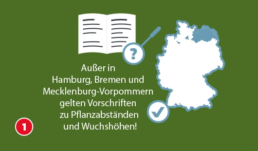 Eine schematische Darstellung zeigt eine stilisierte Deutschlandkarte mit farblich hervorgehobenen Bundesländern. Daneben ist ein aufgeklapptes Gesetzbuch mit einem Fragezeichen abgebildet. Ein Häkchen-Symbol verweist auf die Notwendigkeit der Einhaltung rechtlicher Vorgaben. Darunter steht der Satz: „Außer in Hamburg, Bremen und Mecklenburg-Vorpommern gelten Vorschriften zu Pflanzabständen und Wuchshöhen!“ Unten links ist ein roter Kreis mit einer weißen 1