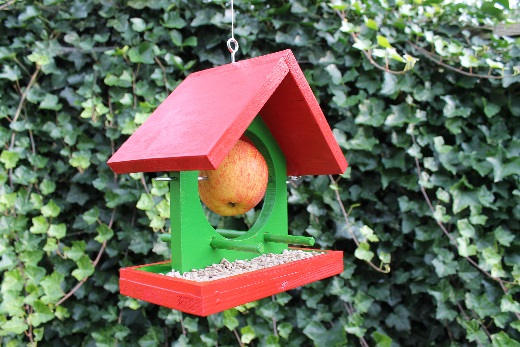 Ein fertig montiertes und bunt lackiertes Vogelhaus hängt an einem Metallhaken vor einer dichten Efeuhecke. Das Dach ist rot, die Seiten sind grün gestrichen. In der Mitte ist ein Apfel als zusätzlicher Futterspender befestigt, in der Bodenplatte liegen Sonnenblumenkerne