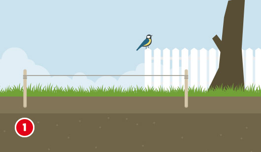 Illustration zum ersten Schritt beim Bau eines Gartenhausfundaments. Zwei Holzpflöcke spannen eine waagerechte Schnur über den Rasen, um die spätere Baufläche zu markieren. Im Hintergrund sind ein Zaun, ein Baum und ein Vogel auf dem Zaunpfosten zu sehen.