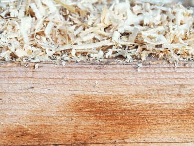 Ein Stück Holz liegt auf einer Arbeitsfläche und ist mit feinen, hellen Holzspänen bedeckt. Die Späne stammen von einer frisch bearbeiteten Oberfläche.