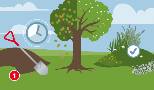 Illustration Schritt 1 zur Beetgestaltung unter einem Baum: Links herabfallende Blätter und Spaten mit Zeitsymbol – Hinweis auf Vorbereitung im Herbst; rechts fertiges, bepflanztes Beet mit Stauden und Blumen