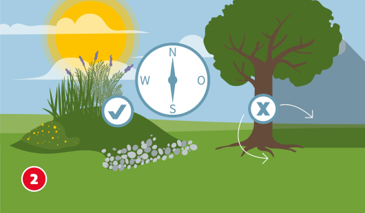 Illustration Schritt 2 zur Beetgestaltung: Links ein sonniger Standort mit bepflanztem Beet und Kompassnadel zeigt nach Süden, rechts ein Baum mit schattiger Fläche und Wurzelbereich, der nicht bepflanzt werden soll