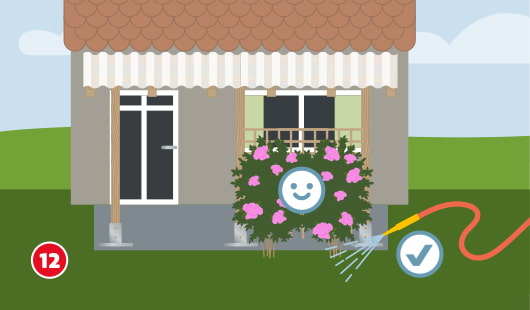 Illustration Schritt 12: Eine bewachsene Pergola mit üppig blühenden Kletterpflanzen steht vor einem Haus. Die Pflanzen werden regelmäßig gegossen, ein Smiley zeigt: alles ist gut angewachsen.