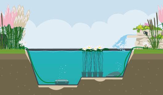 Eine schematische Darstellung zeigt das Einsetzen von Seerosen in einen fertig eingerichteten Gartenteich. Die Seerosen stehen in Pflanzkörben auf dem Teichboden, ihre Blätter und Blüten schwimmen an der Oberfläche. Rund um den Teich ist üppige Bepflanzung vorhanden, ein kleiner Wasserfall läuft rechts über eine Steinquelle