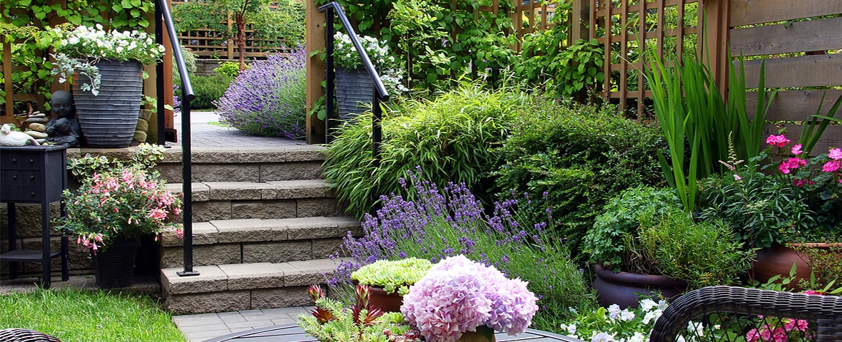 Ein Garten mit einer Steintreppe, der mit vielen Blumenkübeln,Grünpflanzen, Büschen und Sträuchern gestaltet ist