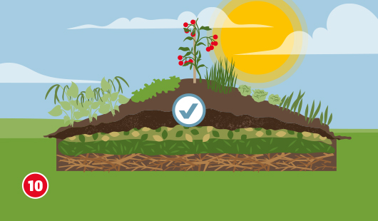 Illustration Schritt 10 zur Beetgestaltung: Das fertige Hügelbeet zeigt alle Schichten im Querschnitt – unten Holz und Äste, darüber Grünabfälle, Kompost und Erde. Auf dem Beet wachsen Tomaten, Salat und andere Pflanzen bei Sonnenschein