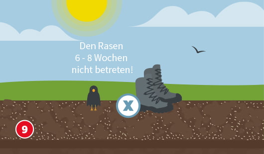 Eine schematische Darstellung zeigt eine frisch eingesäte Rasenfläche, die nicht betreten werden soll. Ein Paar Stiefel und ein Vogel sind mit einem X-Symbol markiert, daneben steht der Hinweis: „Den Rasen 6–8 Wochen nicht betreten!“. Unten links ist ein roter Kreis mit einer weißen 9