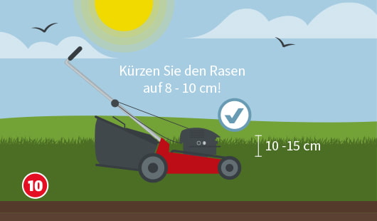 Eine schematische Darstellung zeigt einen Rasenmäher auf einer frisch gewachsenen Rasenfläche. Ein Maßpfeil zeigt eine Höhe von 10–15 cm, darüber steht der Hinweis: „Kürzen Sie den Rasen auf 8–10 cm!“. Ein Häkchen-Symbol bestätigt die richtige Vorgehensweise beim ersten Rasenschnitt. Die Sonne scheint am Himmel, Vögel fliegen im Hintergrund. Unten links ist ein roter Kreis mit einer weißen 10