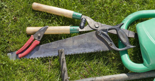 Mehrere Gartengeräte wie Astschere, Säge und Gartenschere liegen auf einer Rasenfläche neben einer grünen Gießkanne