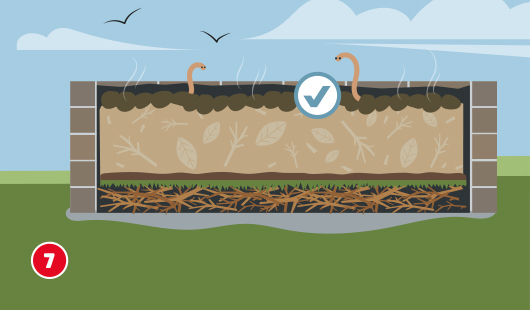 Illustration mit dem Titel „Schritt 7“ einer Hagebau-Anleitung zum Bau eines Hochbeets. Im Querschnitt ist zu sehen: Auf die Kompostschicht wird eine dünne Schicht Gartenerde aufgetragen. Regenwürmer und feine Wurzeln sind sichtbar. Ein Häkchen zeigt die korrekte Ausführung.