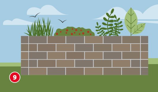 Illustration mit dem Titel „Schritt 9“ einer Hagebau-Anleitung zum Bau eines Hochbeets. Das fertig aufgebaute Hochbeet aus Mauersteinen ist komplett bepflanzt. Zu sehen sind verschiedene Pflanzen: Gräser, Gemüse, Kräuter und ein großes Blattgewächs.