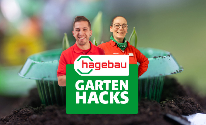 Gridteaser Gartenhacks Unscharfest Foto einer wachsenden Pflanze in einem Blumenbeet, im Vordergrund sind zwei hagebau-Mitarbeiter und die Aufschrift "hagebau, Gartenhacks"
