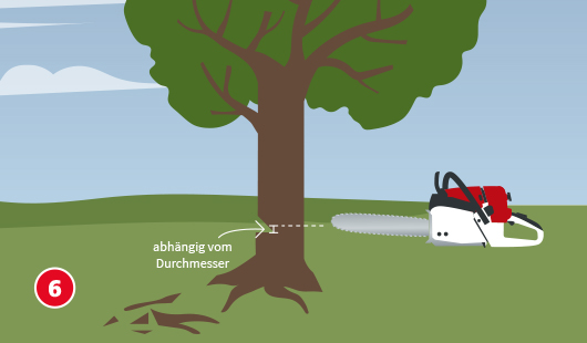 Baum im eigenen Garten fällen So geht‘s hagebau.de
