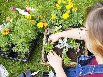 Eine Frau bepflanzt eine hängende Blumenampel mit verschiedenen Sommerblumen auf einer Rasenfläche