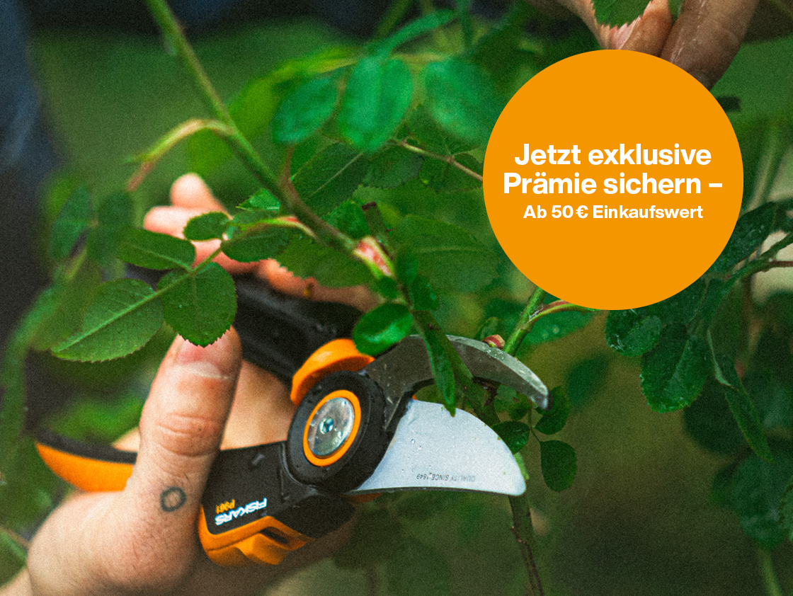 Eine Gartenschere in verwendung von der Marke Fiskars