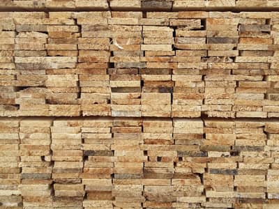 Holz
