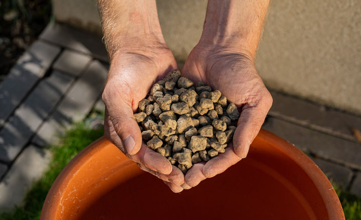 Jemand hält Granulat in den Händen von der Marke Floragard