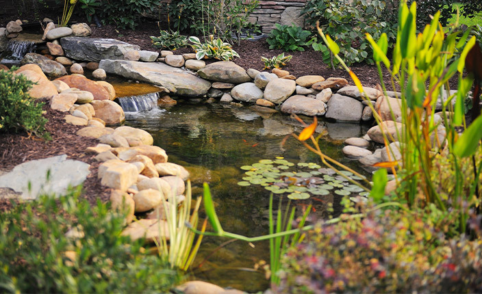Gartenteich mit Wasserpflanzen und Steinen – ideal für den Einsatz einer Solar-Teichpumpe.