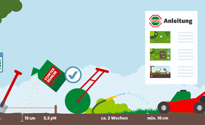 Illustration zur richtigen Rasenneuanlage mit Anleitung: Der Boden wird vorbereitet, mit Starterdünger versorgt, gewalzt, regelmäßig gewässert und nach etwa zwei Wochen erstmals gemäht.