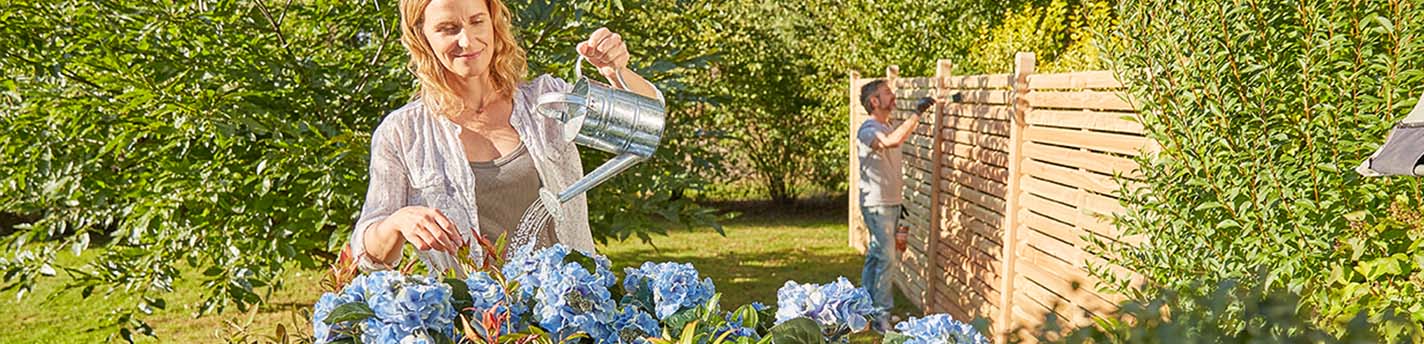 Eine Frau bewässert blaue Blumen und ein Mann streicht im Hintergrund einen Zaun