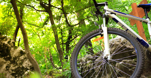 Mountainbike im Wald