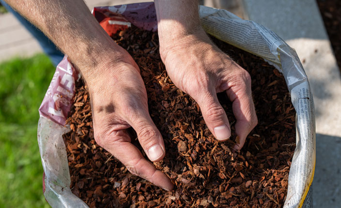 Floragard Mulch