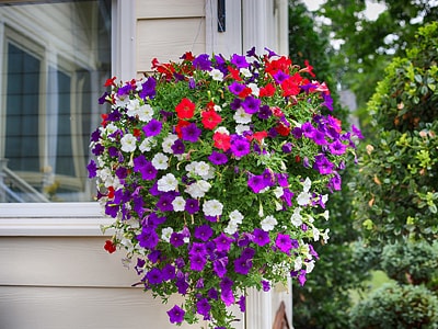 Blumen am Balkongeländer