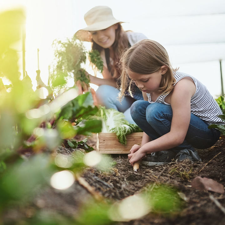 Kinder die in einem Beet arbeiten