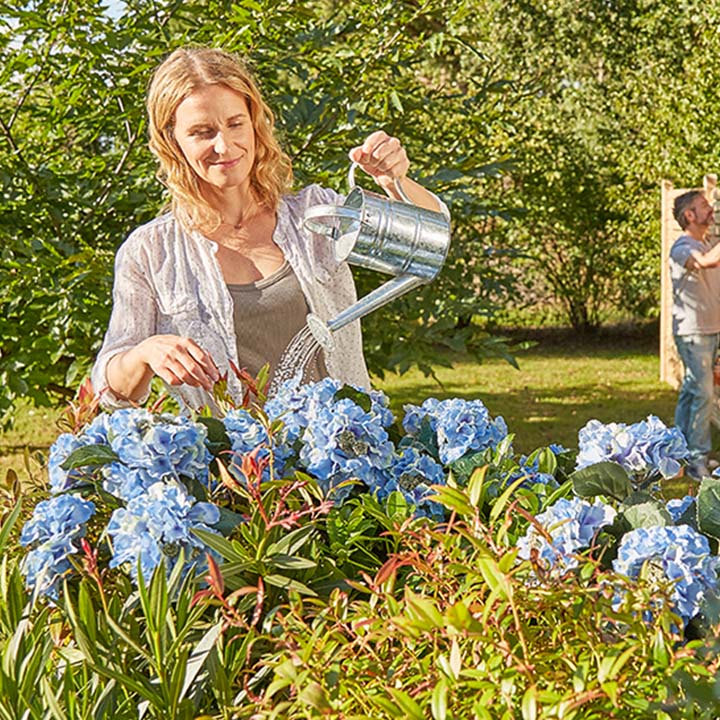 Eine Frau bewässert blaue Blumen und ein Mann streicht im Hintergrund einen Zaun