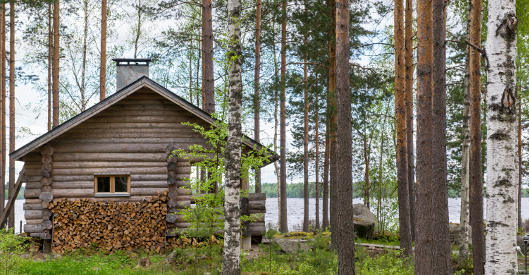 Blockhaussauna im Wald am See mit gestapeltem Brennholz.