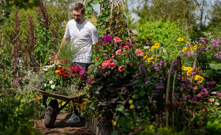 Floragard Sommer