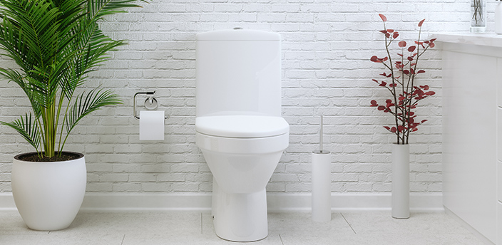 Modernes, weißes WC mit Spülkasten vor heller Ziegelwand, flankiert von zwei Pflanzen.