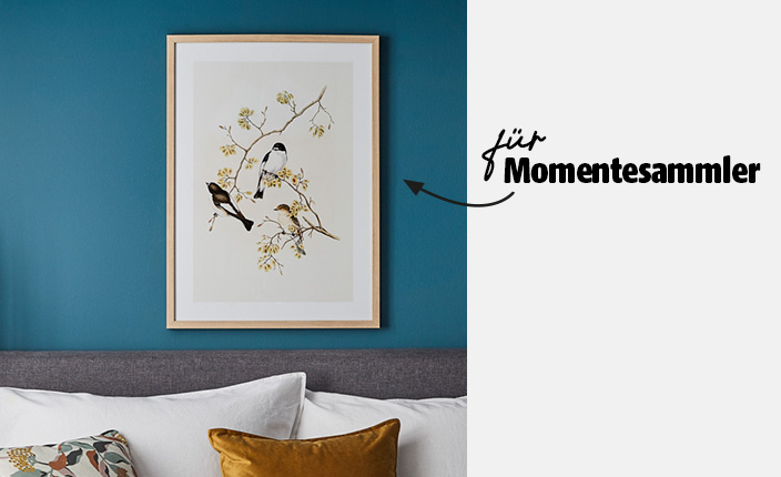 Gerahmtes Bild von gezeichneten Vögeln auf einem Ast an einer türkisfarbenen Wand über einem Sofa mit bunten Kissen; rechts auf dem Bild steht der Text „für Momentsammler“