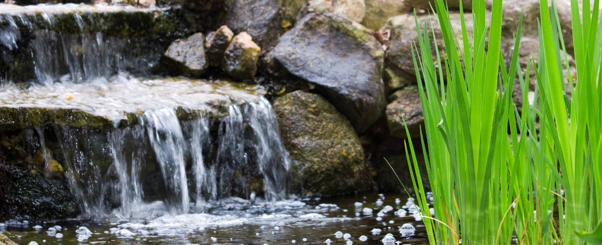 Ein kleiner Wasserfall fließt über Natursteinstufen in einen Teich. Am rechten Bildrand wachsen grüne Sumpfpflanzen aus dem Wasser.